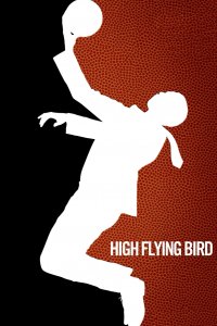 Image High Flying Bird