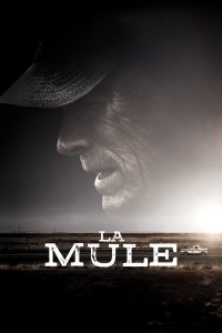 Image La Mule