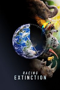 Image Racing Extinction