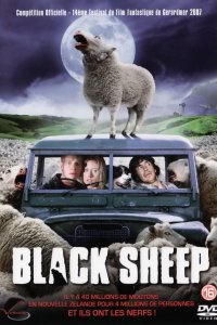 Image Black Sheep