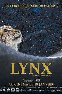 Image Lynx