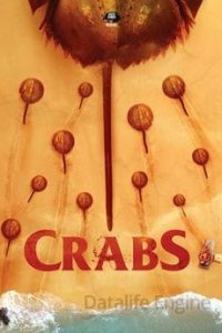 Image Crabs!