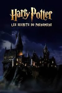 Image Harry Potter : les secrets du phénomène