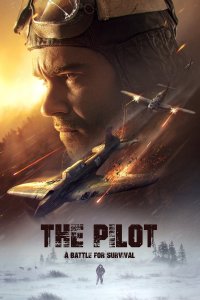 Image The Pilot : A Battle for Survival