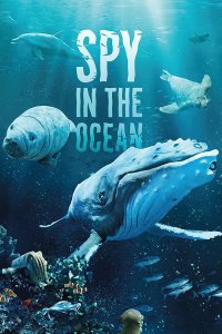 Image Spy in the Ocean, A Nature Miniseries